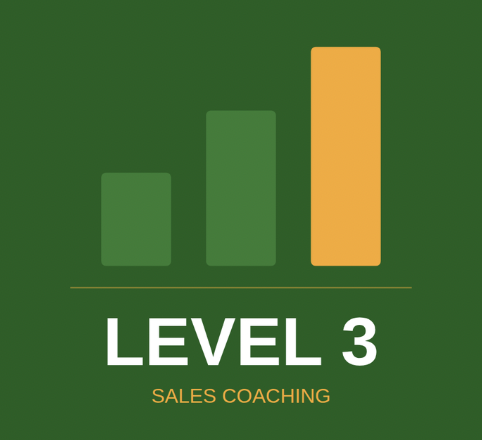 Level 3 Sales Coaching